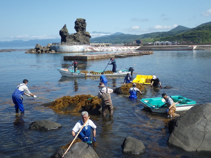 元和台海浜公園清掃活動