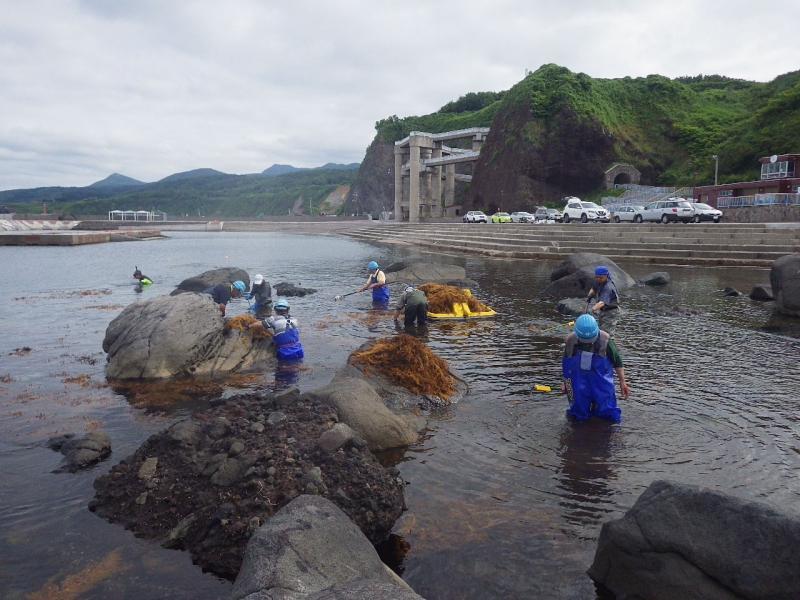 元和台海浜公園清掃活動