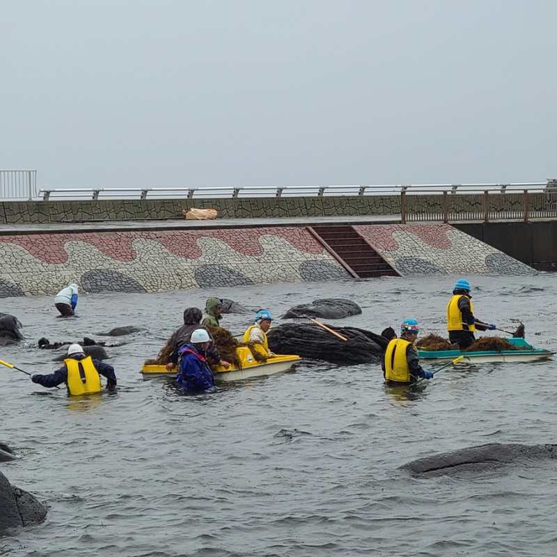 元和台海浜公園清掃活動