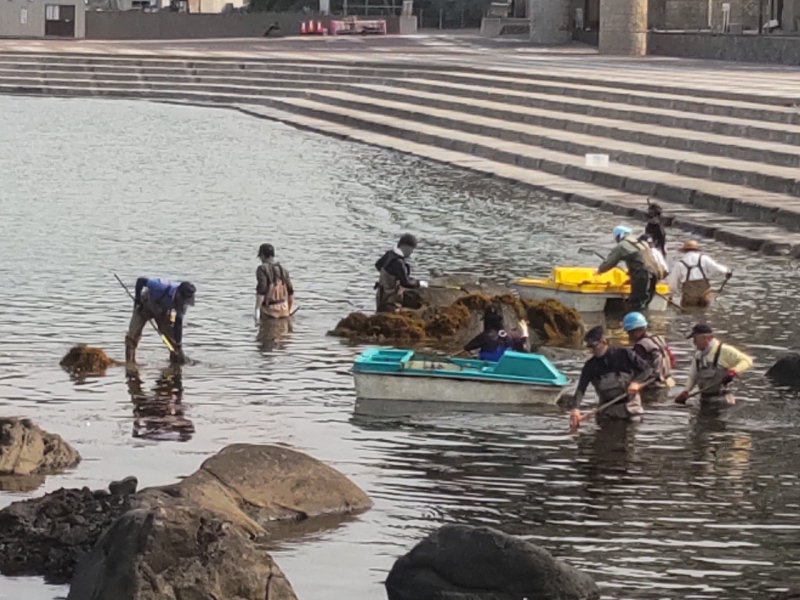 元和台海浜公園清掃活動