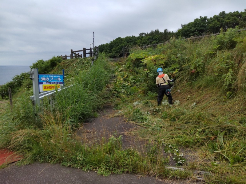 元和台海浜公園駐車場草刈り